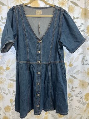 American Eagle Outfitters Blue Denim Button-Front Mini Dress